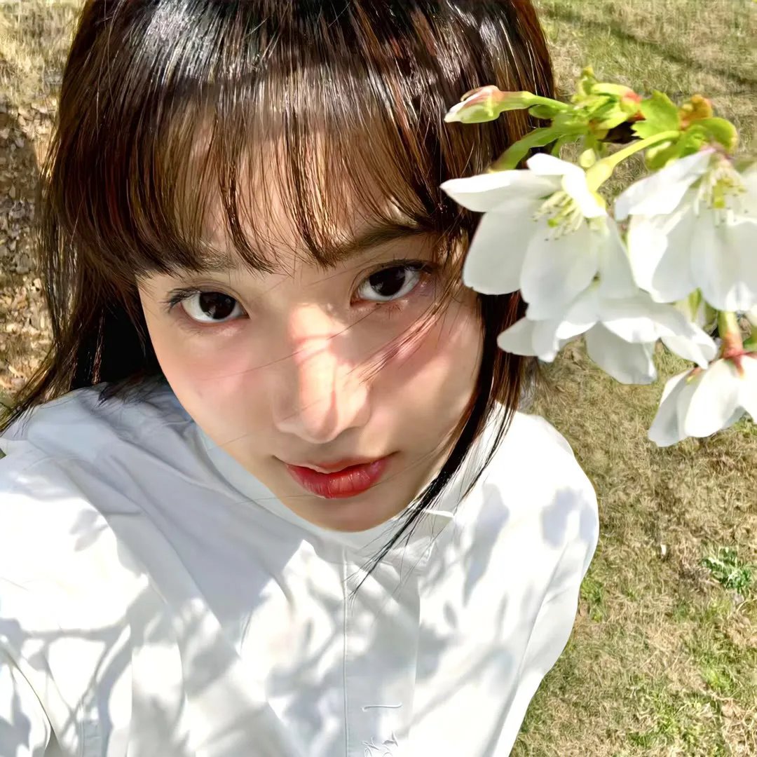 丢羊